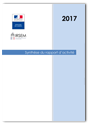 Synthèse du rapport d'activité 2017 de l'IRSEM