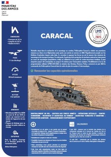Hélicoptère Caracal