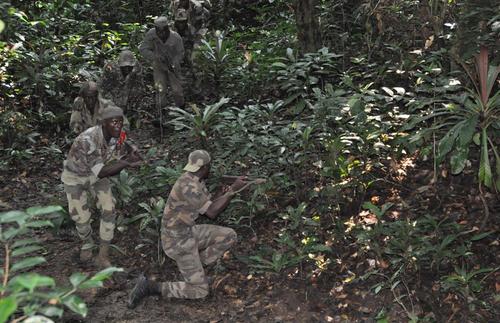 Gabon : stage d’aguerrissement pour l’armée gabonaise.