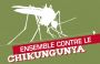 Vignette appel Tous-ensemble-contre-le-chikunguya