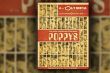 Concert des Poppys le 8 janvier 2012 - Crédits : Poppys
