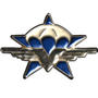 Insigne du 1er régiment de chasseurs parachutistes - Crédits : armée de Terre
