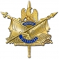 Insigne histoire militaire Crédits : Armée de Terre